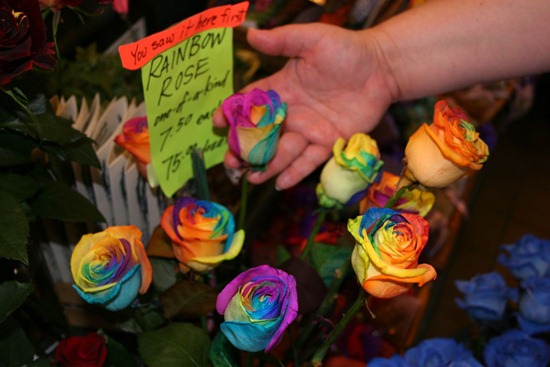 rainbow-roses-for-sale-by-McSushi