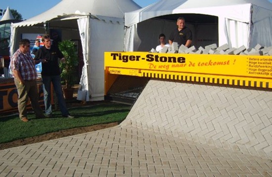 tiger-stone1
