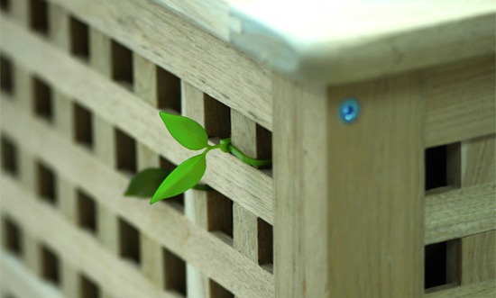 leaf_tie2