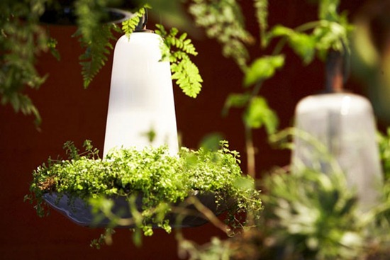 GreenLight1