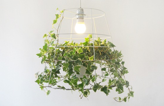 002photosynthesis-lamp