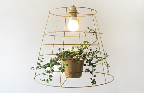 004photosynthesis-lamp