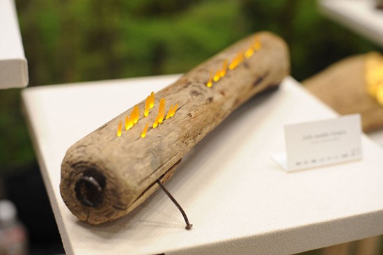 great_mushrooming_3