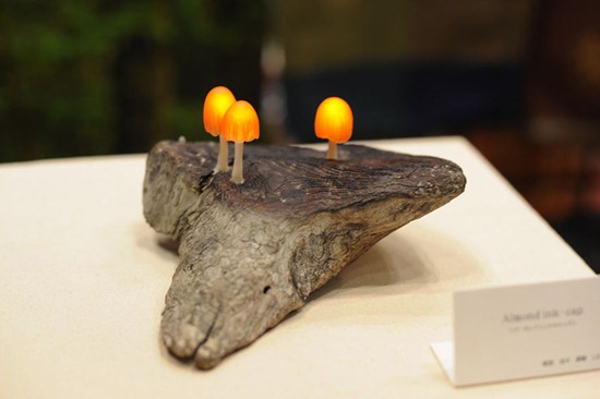great_mushrooming_6