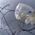 Plastic Bag Gallery: 塑料袋的在线图片集