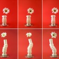 flex.可弯折花瓶